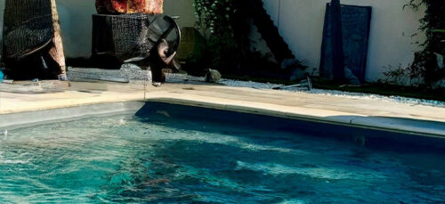 Des piscines aux teintes inédites grâce aux gels-coats Fusion et Mystic